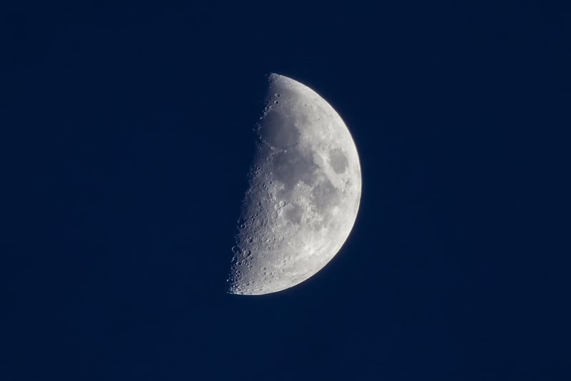 Moon Phase Cakes